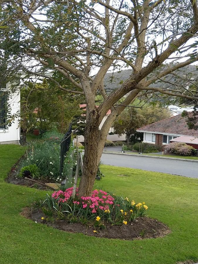 C'Est La Vie Bed & Breakfast Albany Exterior photo